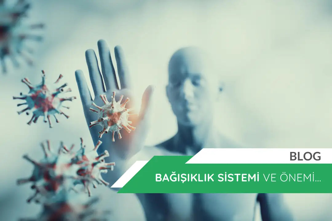 Bağışıklık Sitemi Ve Önemi...