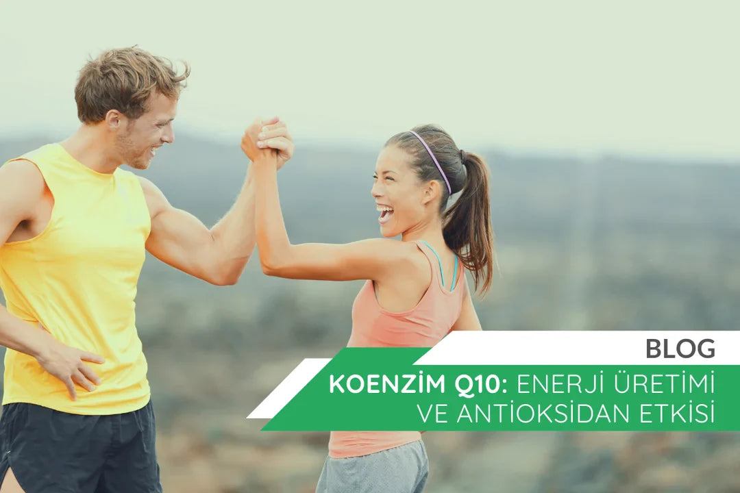 Koenzim Q10: Enerji Üretimi ve Antioksidan Etkisi